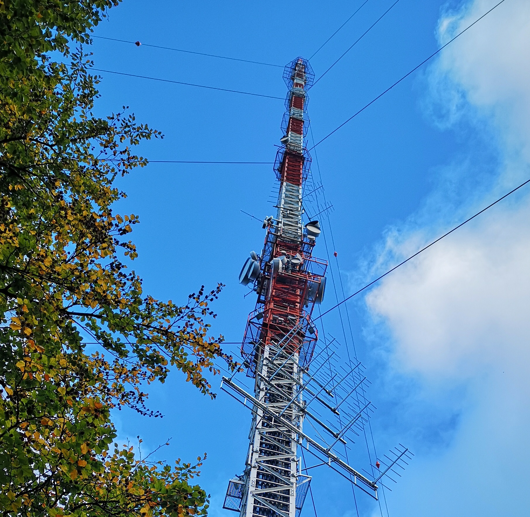 cabel